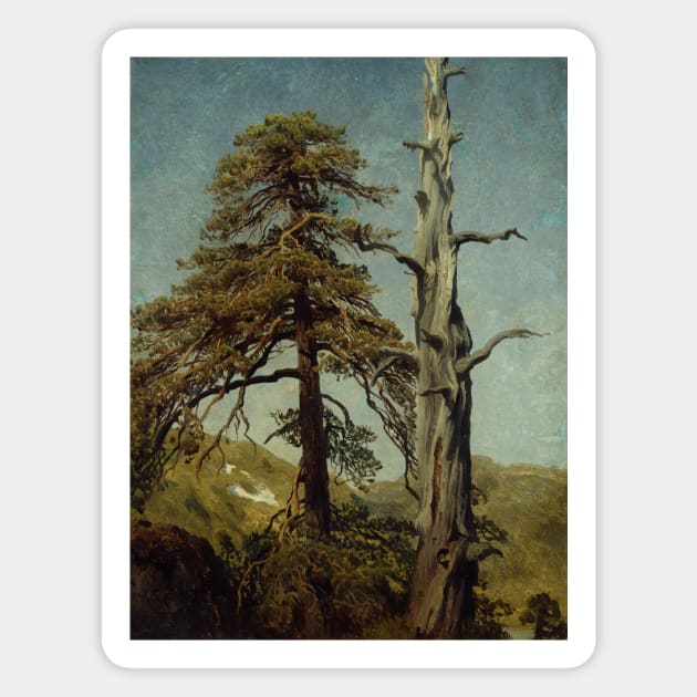Study of Trees by August Cappelen Magnet by Classic Art Stall